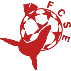 ST ETIENNE FC 1